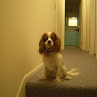 Sandra Hankins Photo 10