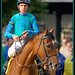 Ramon Dominguez Photo 17