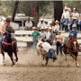 Vicki Loomis Photo 9