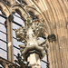 Peter Colon Photo 15