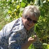 Nancy Haynes Photo 32