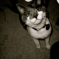 Blue Robinson Photo 6