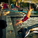 Eli Gruber Photo 2