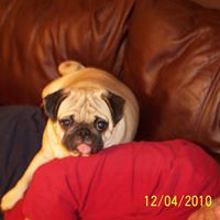 Robert Winstead Photo 28