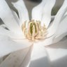Eileen French Photo 12
