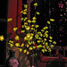 Yong Feng Photo 5