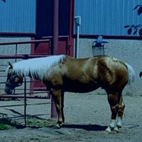 Danny Perdue Photo 18