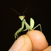 David Shackleford Photo 24