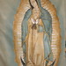 Guadalupe Garza Photo 33