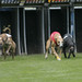 Butch Gee Photo 6