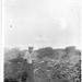 Henry Nicholson Photo 29