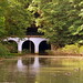 Roy Montgomery Photo 14