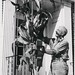 Chester Farmer Photo 16