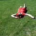 Regina Lay Photo 14