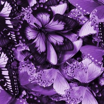 Louise Welch Photo 30