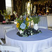 Ann Doss Photo 19