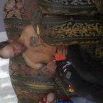 Michael Laguardia Photo 7