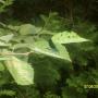 Cathy Shepherd Photo 26