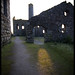 Frances Low Photo 24