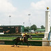 Rachel Downing Photo 15