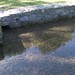 Bradley Newton Photo 11