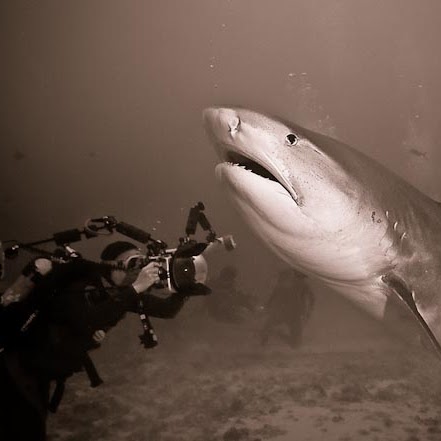 Michael Rothman Photo 8