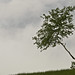 Robert Bracken Photo 20
