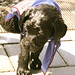 Sheila Fountain Photo 14