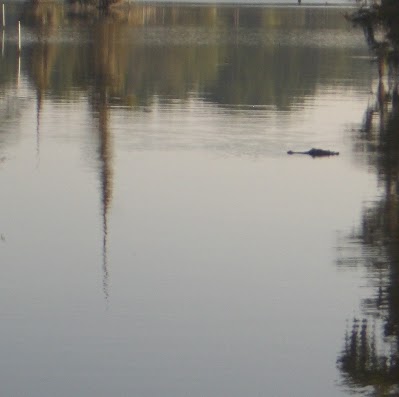 Jimmy Bolin Photo 5