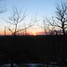 Arlene Wood Photo 18