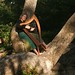 Victoria Harp Photo 11