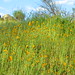 Scott Prather Photo 22