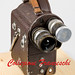 Donna Beaulieu Photo 35