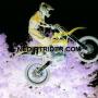 Brandon Lester Photo 21