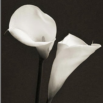 Teresa Duran Photo 14