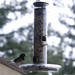 Shelia Turner Photo 23