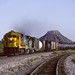 Curtis Hill Photo 40