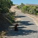Sadie Bush Photo 8