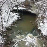 Robert Johns Photo 21