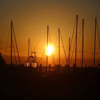 Lee Ernst Photo 22