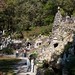Joseph Grotto Photo 3