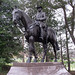Marshall Dill Photo 10