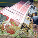Hoang Vu Photo 15