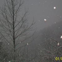 Eugene Long Photo 12