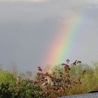 Rita Summers Photo 22