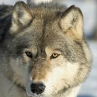 Jason Mayers Photo 19