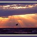 Teresa Havens Photo 27