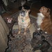 Colleen Cowan Photo 11