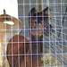 Angela Guenther Photo 17