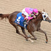 Jerry Coady Photo 3